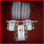 Wholesale plastic quail egg tray,chicken egg tray seller JMS-116