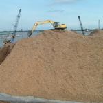 Wood chips with competitive price GGN6