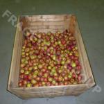 Wooden Crate Fruit